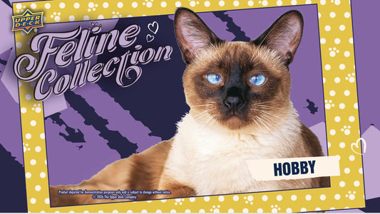 2026 UD FELINE COLLECTION HOBBY BOX (PRE ORDER SHIPS NOV 11)